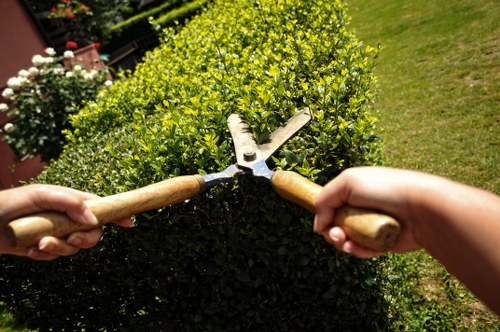 Professional landscapers discussing a project quotation